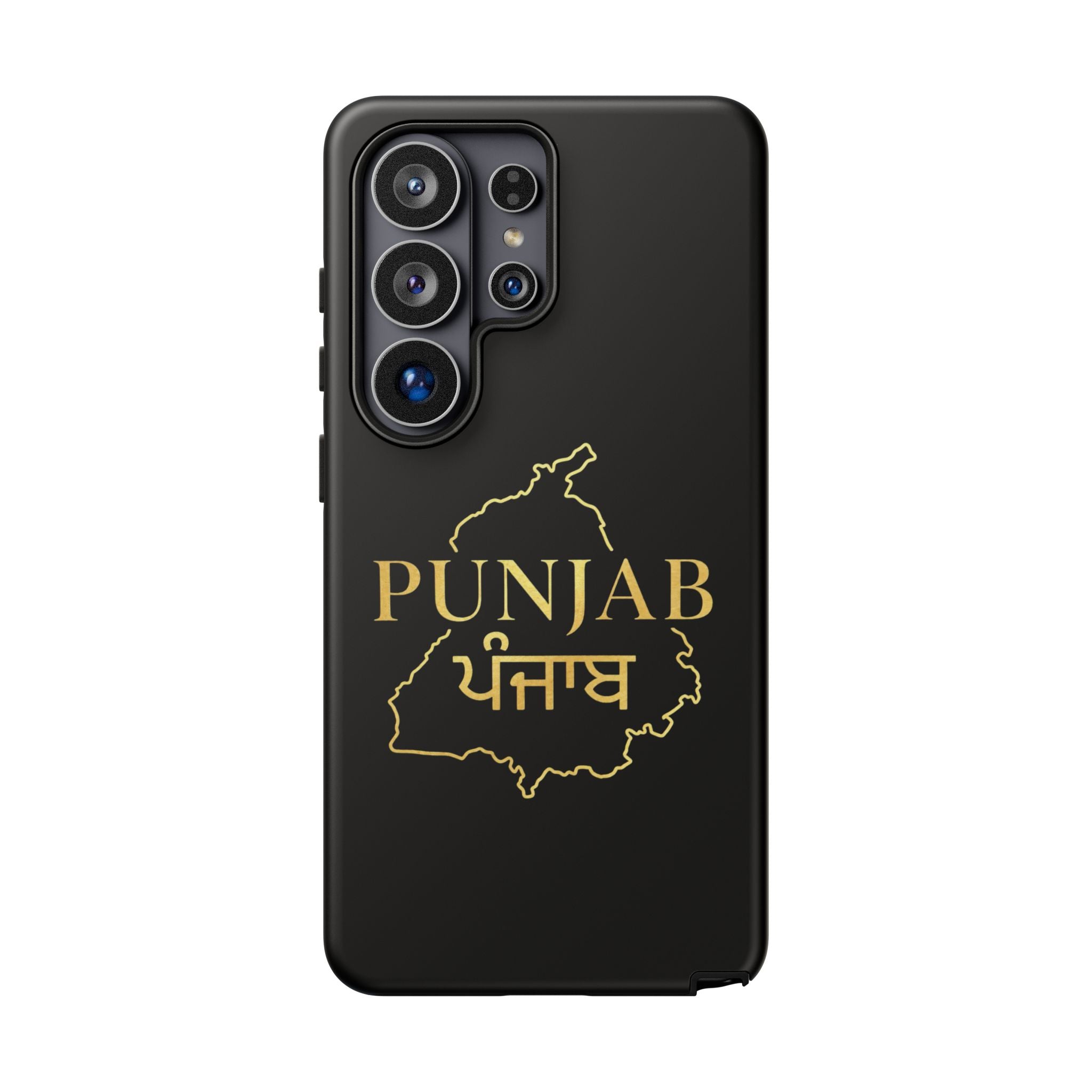 Punjab / ਪੰਜਾਬ Premium Gold Case
