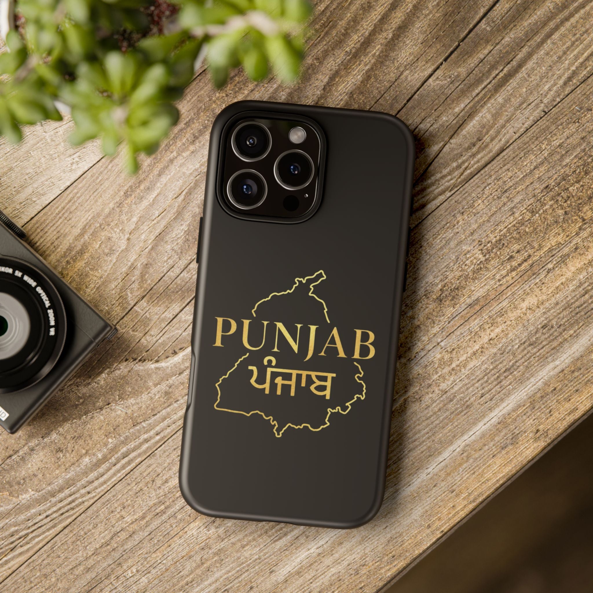 Punjab / ਪੰਜਾਬ Premium Gold Case