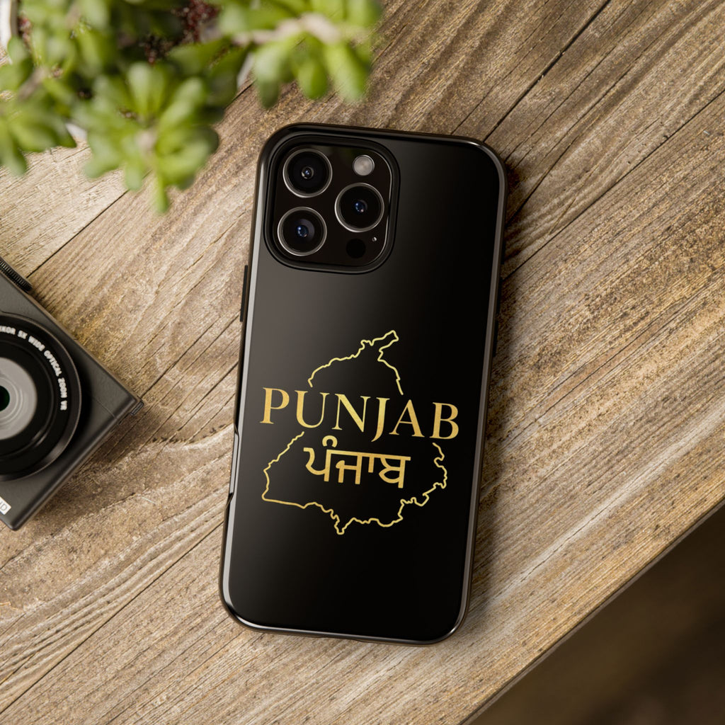 Punjab / ਪੰਜਾਬ Premium Gold Case