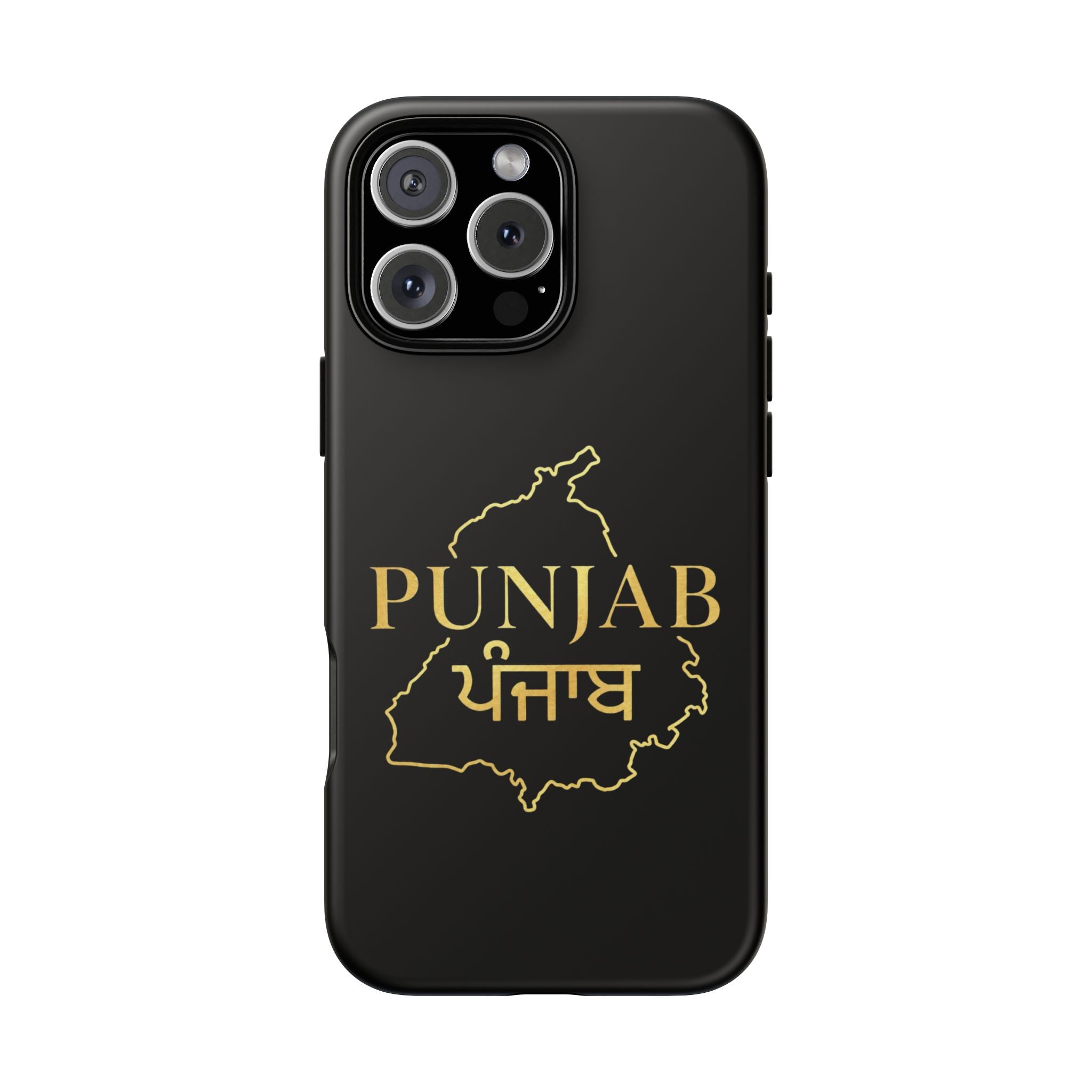 Punjab / ਪੰਜਾਬ Premium Gold Case