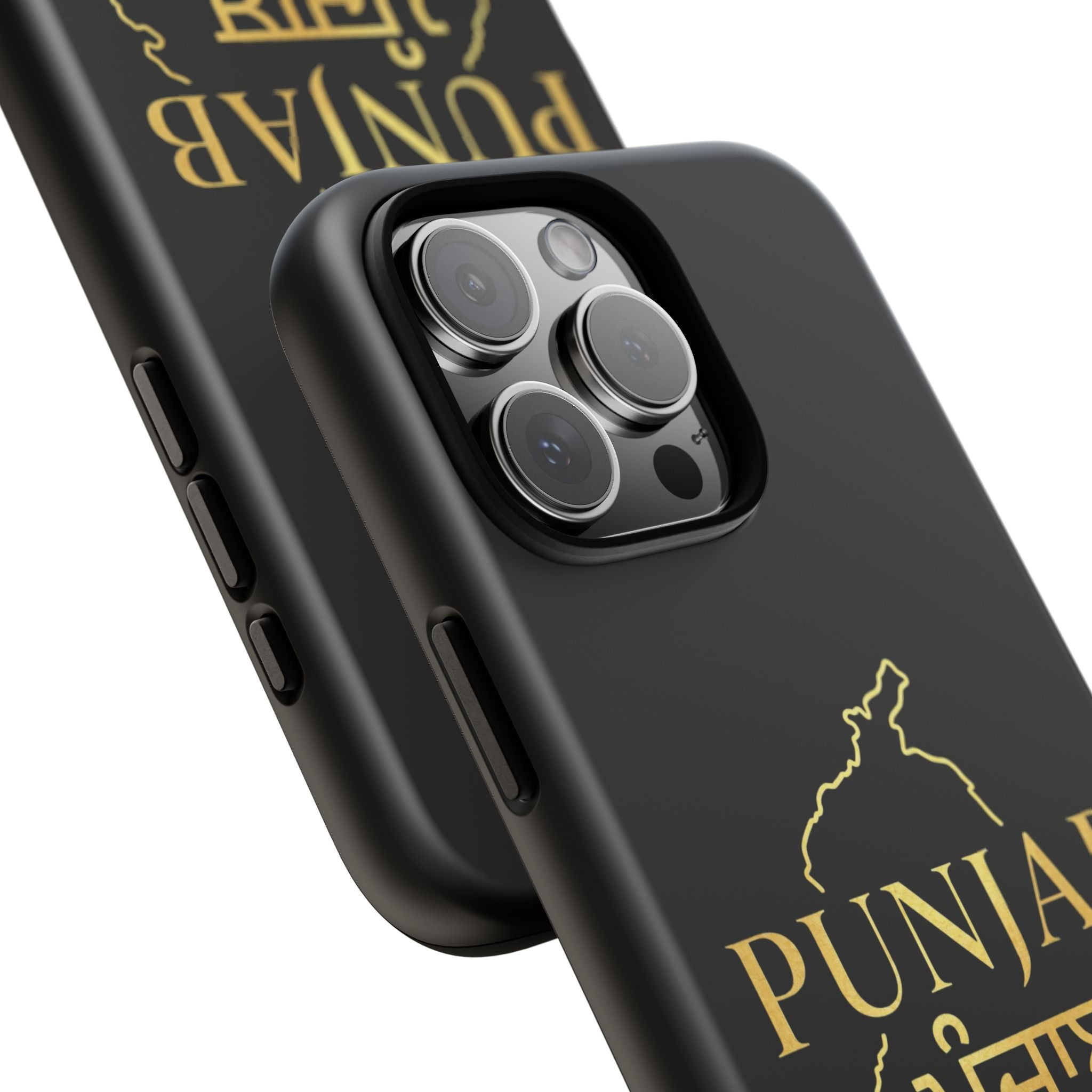 Punjab / ਪੰਜਾਬ Premium Gold Case