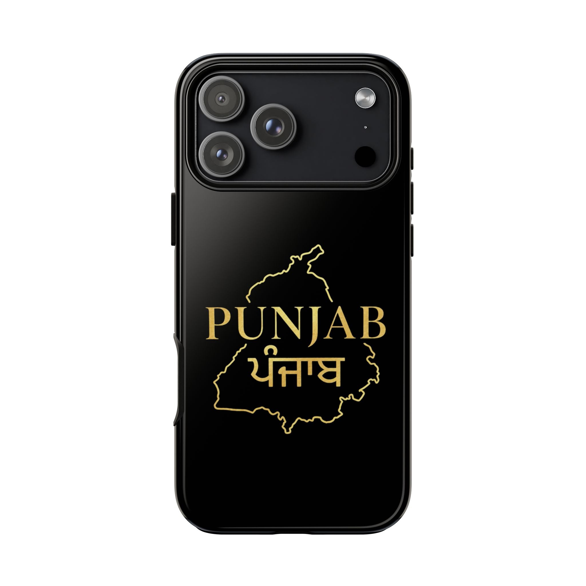 Punjab / ਪੰਜਾਬ Premium Gold Case