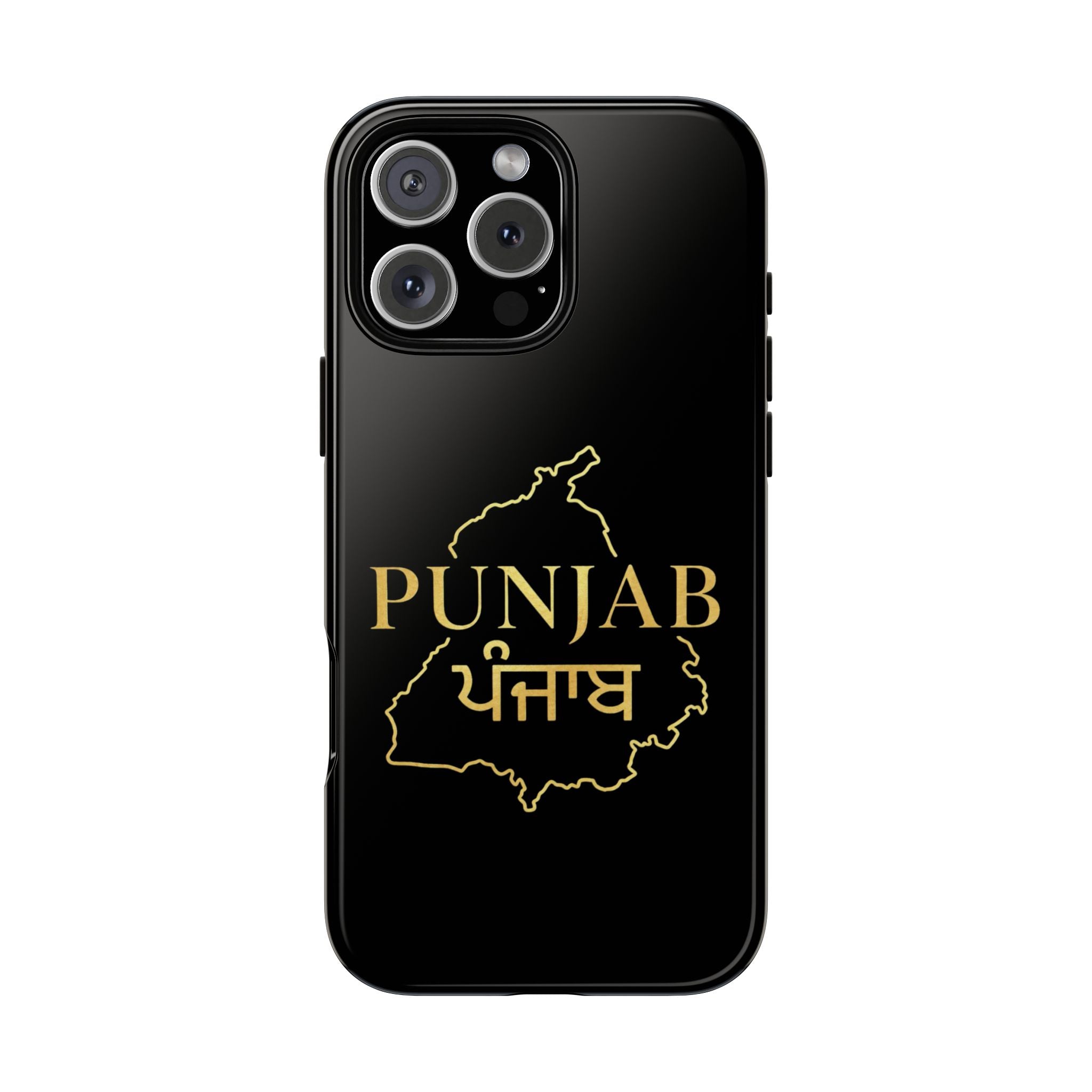 Punjab / ਪੰਜਾਬ Premium Gold Case