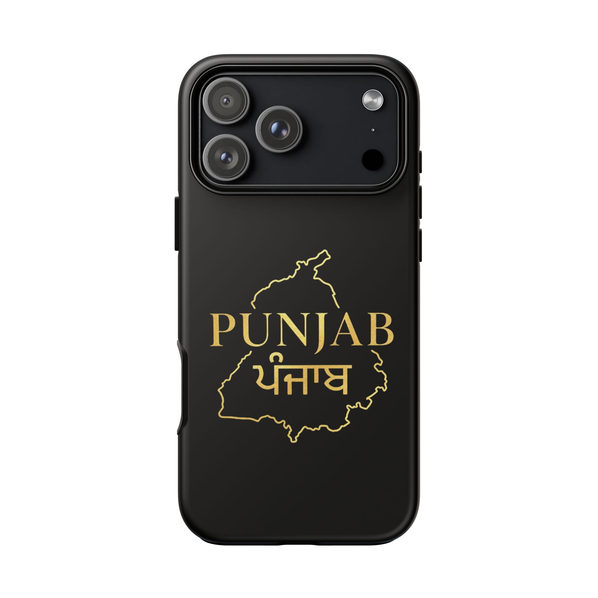 Punjab / ਪੰਜਾਬ Premium Gold Case
