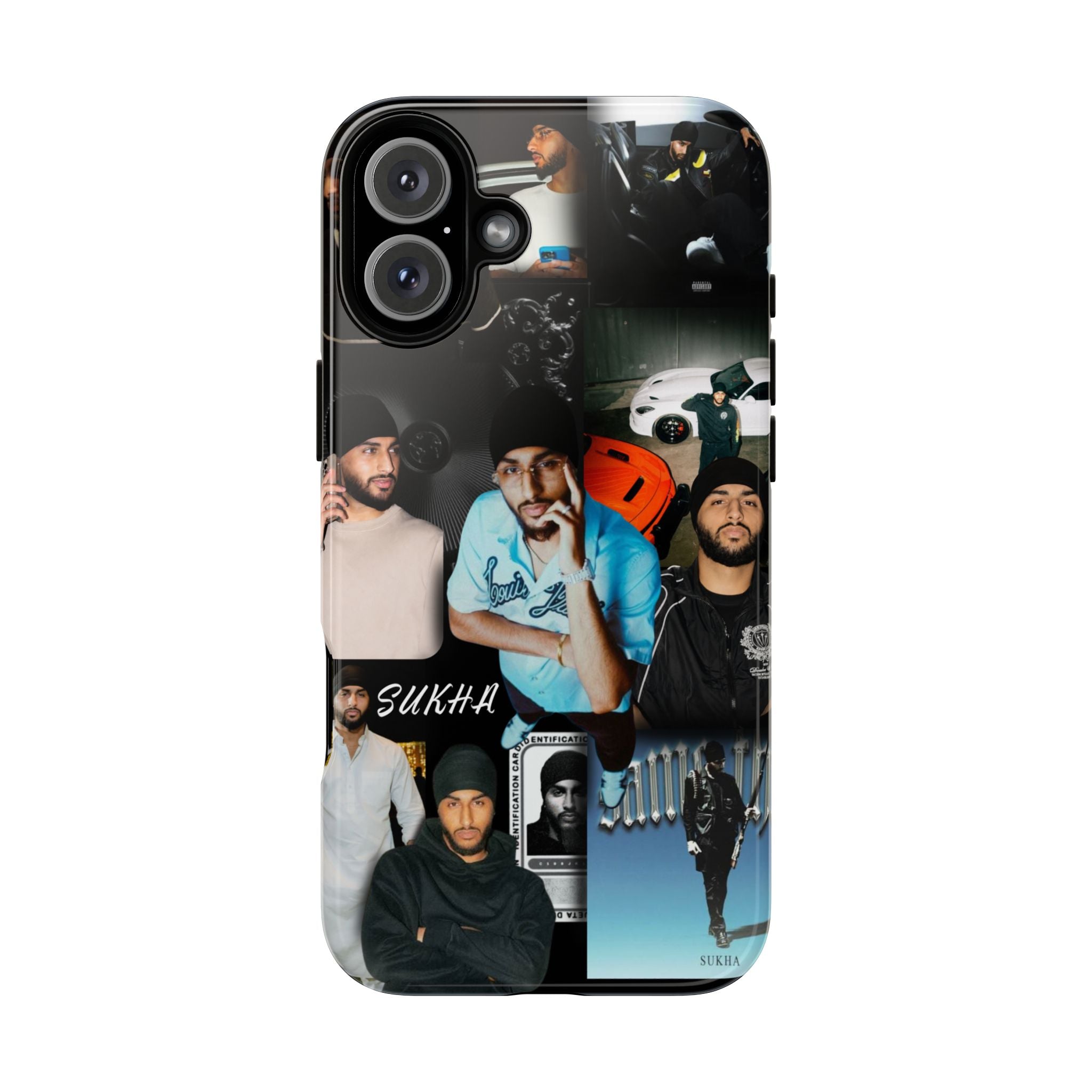 The Majestic Case
